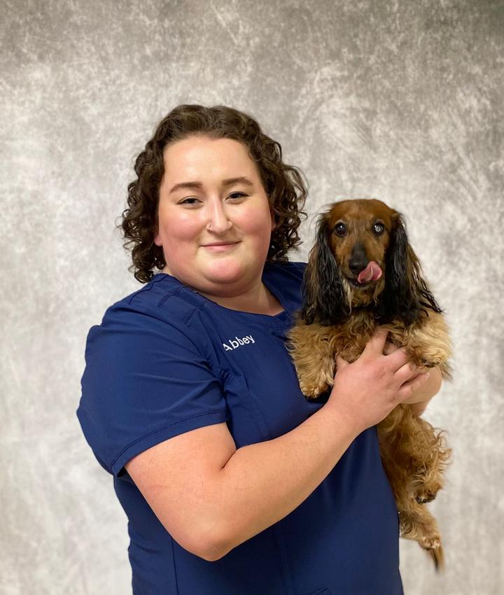 Experienced Veterinarians Animal Hospital in Saint Louis